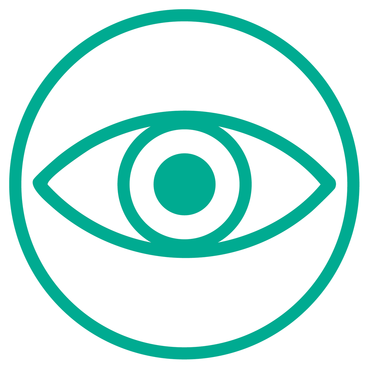 Visual Processing