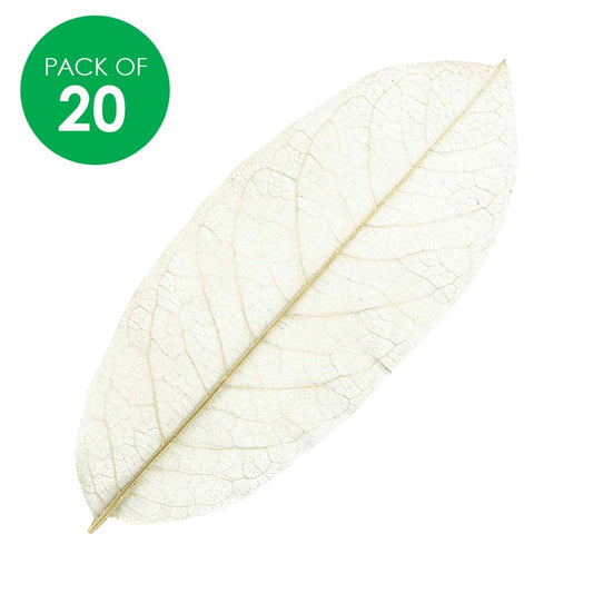 Skeleton Leaves - Natural - Pack of 20